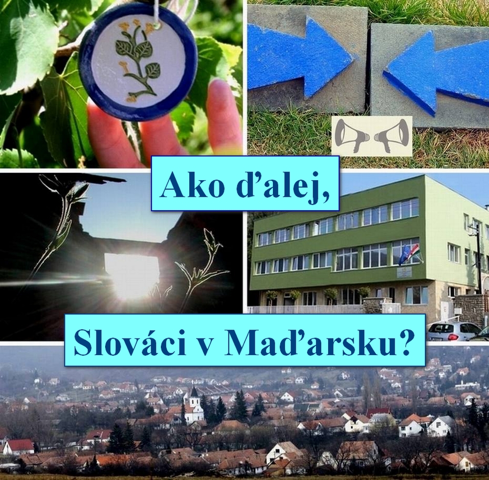 Konferencia Ako ďalej, Slováci v Maďarsku?