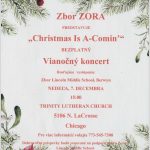 vianočné motívy, ihličnany