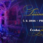 plesové motívy, prítmie, plesová sála